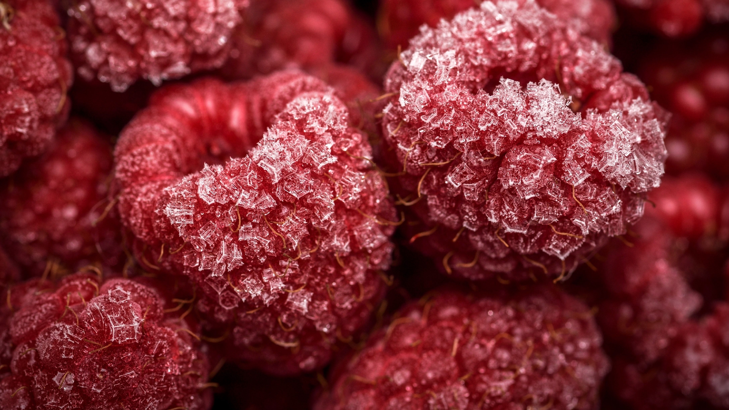 Udržení teploty až 10 hodin při výpadku proudu - funkce lednice De Dietrich DRC9375DN